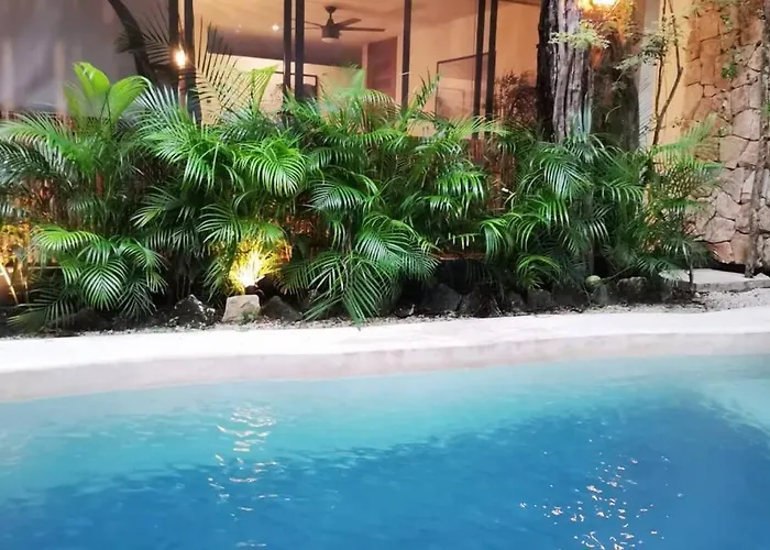 Agua & Selva Luxury Jungle Loft Apartment