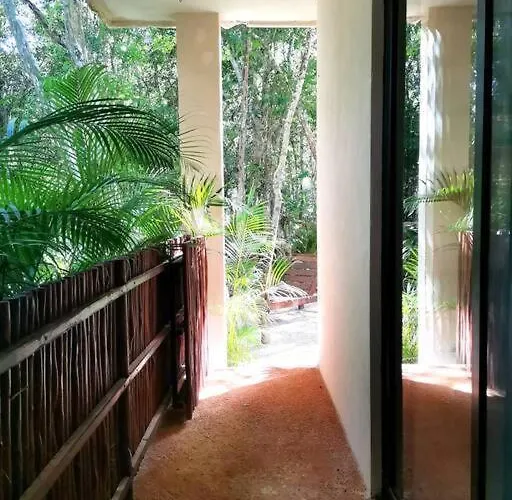 Agua & Selva Luxury Jungle Loft Apartment