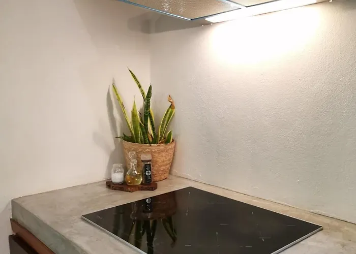 Agua & Selva Luxury Jungle Loft *