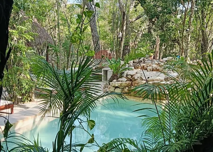 Apartment Agua & Selva Luxury Jungle Loft